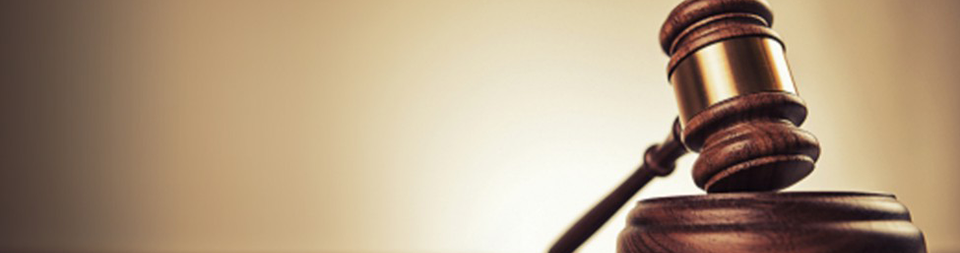 banner2